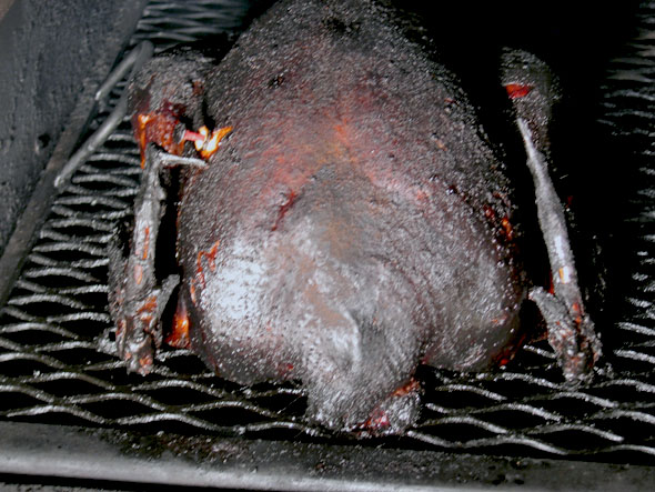 finishedturkey.jpg